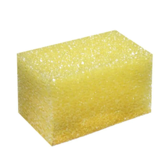 Bug Brick Bug Remover Sponge - Detail Direct