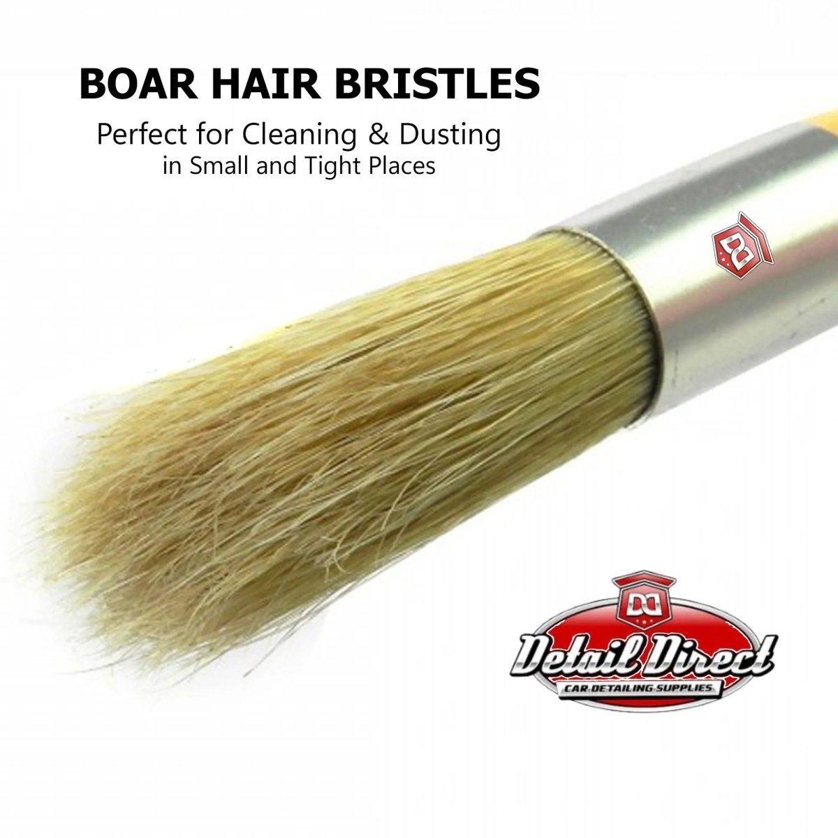 DETAIL DIRECT Boars Hair Detail Brush 6-Inch - Detail Direct